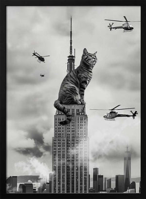 Tablou înramat „Cat on top” de Dikhotomy