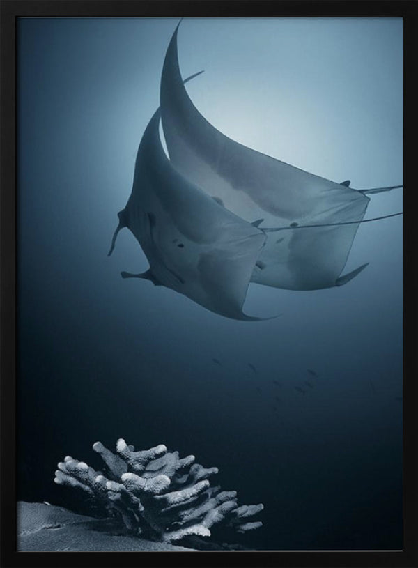 Tablou înramat „Sonata” de Andrey Narchuk