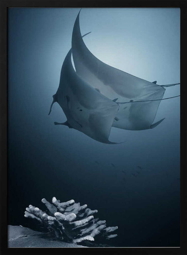 Tablou înramat „Sonata” de Andrey Narchuk