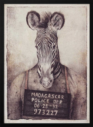 Tablou înramat „Zebra Mugshot Mystery” de Mike Koubou