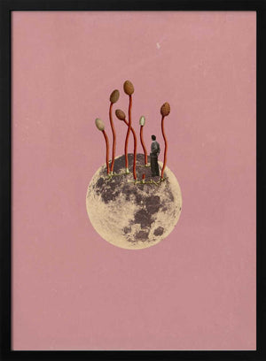 Tablou înramat „Lunar Growth” de Dominik Przerwa