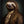 Tablou înramat „Sloth Portrait” de Andreas Magnusson
