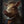 Tablou înramat „Warthog Portrait” de Andreas Magnusson