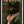 Tablou înramat „Chic Absinthe Cat Alcohol & Cocktail Bar Art” de The Whiskey Ginger