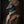 Tablou înramat „Peacock Portrait” de Andreas Magnusson