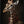 Tablou înramat „Giraffe Portrait” de Andreas Magnusson