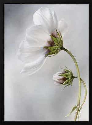 Tablou înramat „Heavenly Cosmos” de Mandy Disher