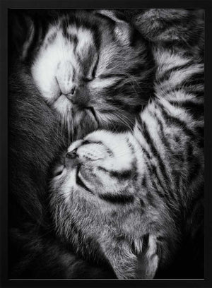 Tablou înramat „Yin and Yang” de Andrea Jancova