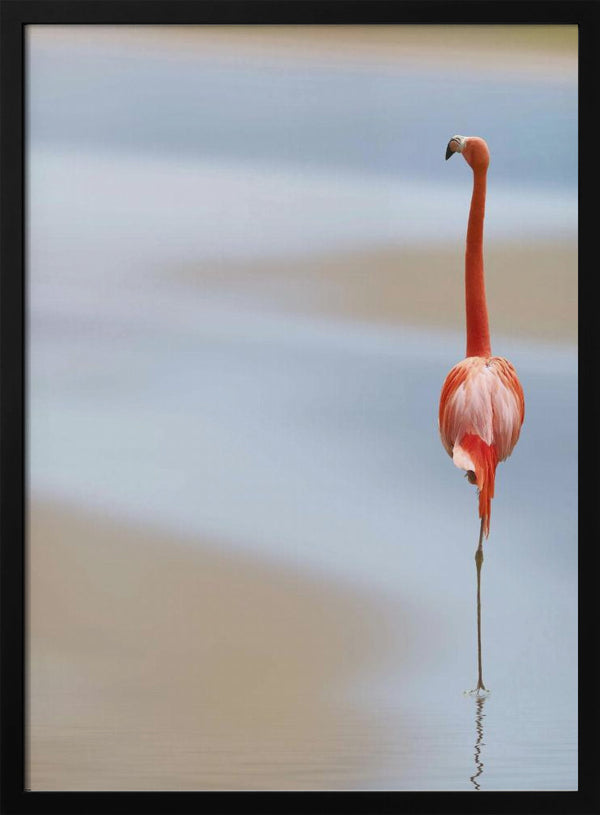 Tablou înramat „I” de Anna Cseresnjes
