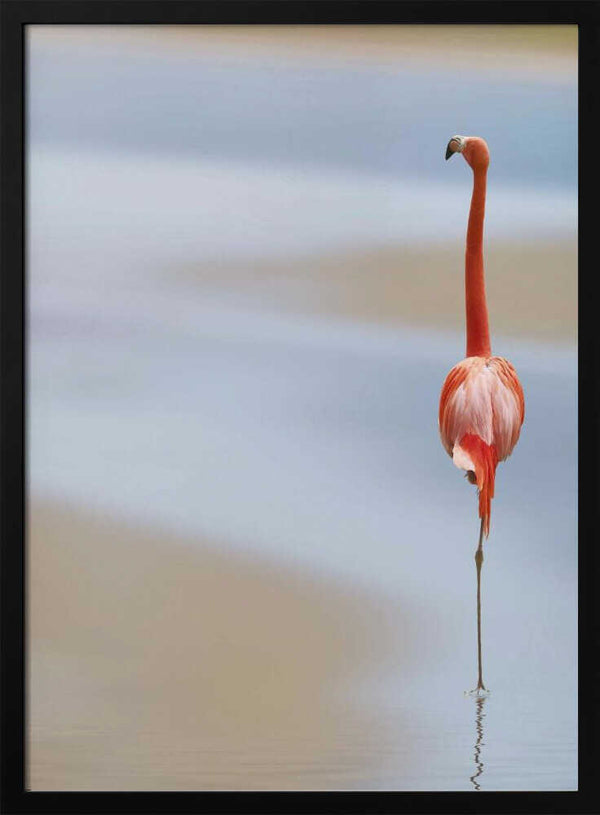 Tablou înramat „I” de Anna Cseresnjes