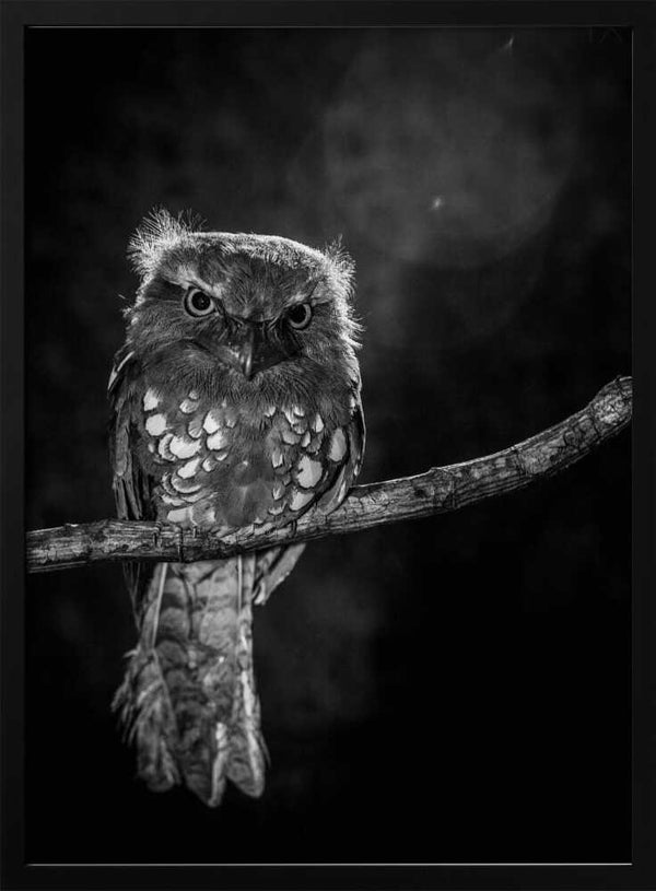 Tablou înramat „Alone in the night” de wilianto