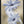 Tablou înramat „Cape daisies” de Mandy Disher