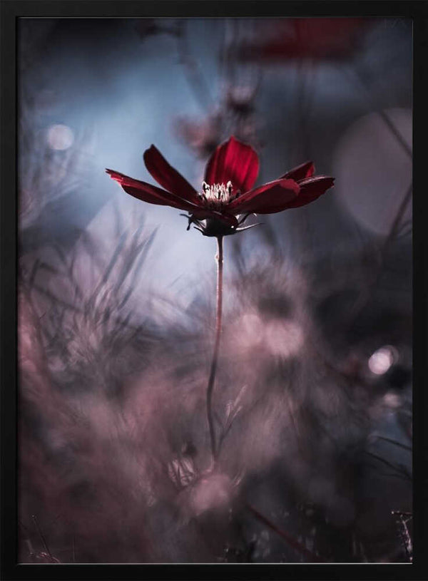 Tablou înramat „Tenue de soirée” de Fabien BRAVIN