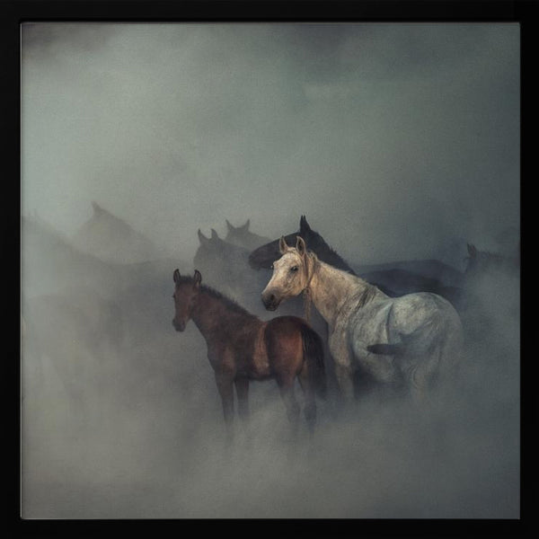 Tablou înramat „The lost horses” de Hüseyin Taşkın