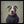 Tablou înramat „Major Good Boy” de Tammy Swarek