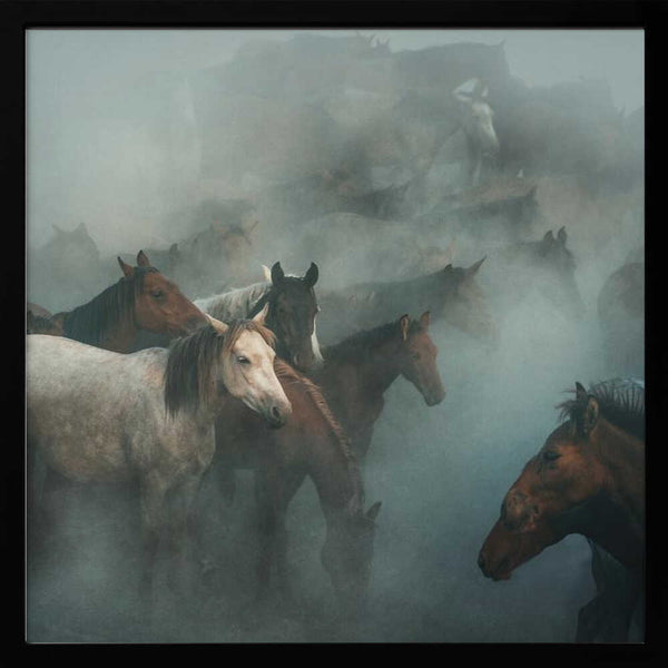Tablou înramat „lost horses” de Hüseyin Taşkın