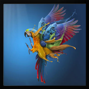 Tablou înramat „Flying Colours” de Sulaiman Almawash