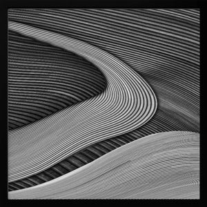 Tablou înramat „The wood project III - Zen garden” de Luc Vangindertael (laGrange)