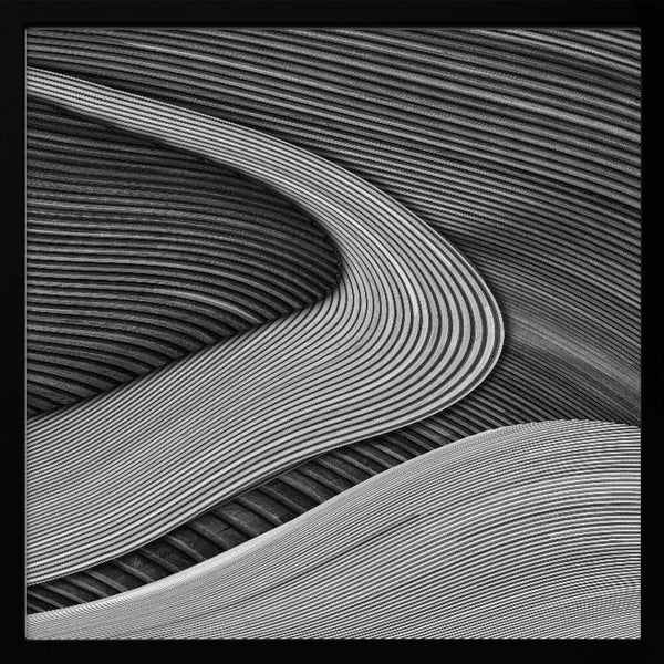 Tablou înramat „The wood project III - Zen garden” de Luc Vangindertael (laGrange)