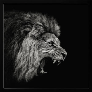 Tablou înramat „Roaring Lion #2” de Christian Meermann