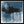 Tablou înramat „Midnight Hues” de THE MIUUS STUDIO