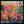 Tablou înramat „Vibrant Garden Burst” de Dorothy Fagan