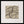 Tablou înramat „Tangled Paths” de THE MIUUS STUDIO