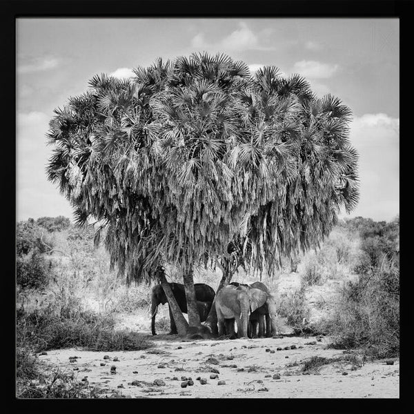 Tablou înramat „Noon meeting” de Marcel Rebro