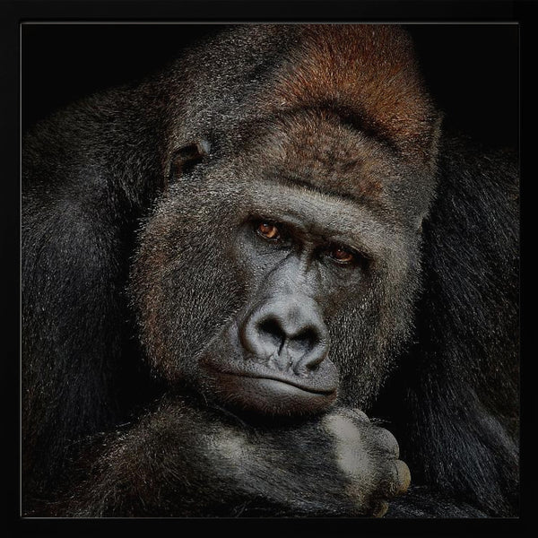 Tablou înramat „ONE MOMENT IN CONTACT” de Antje Wenner-Braun