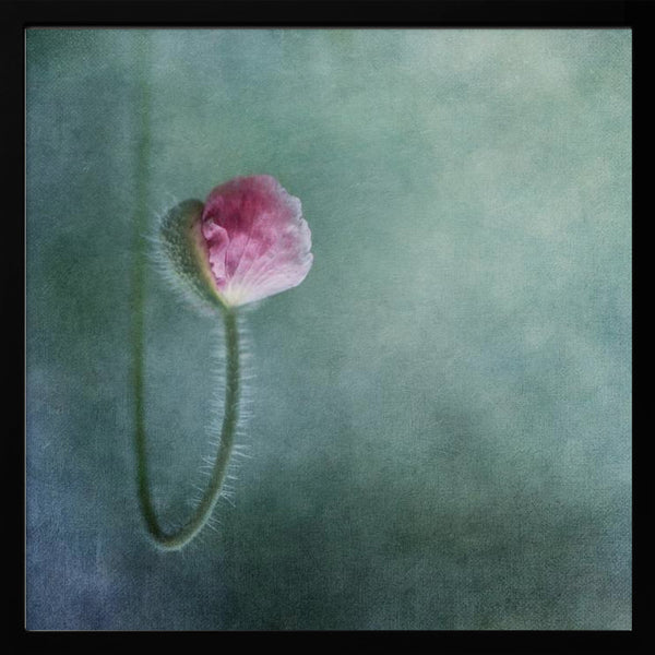 Tablou înramat „Trust” de Priska Wettstein