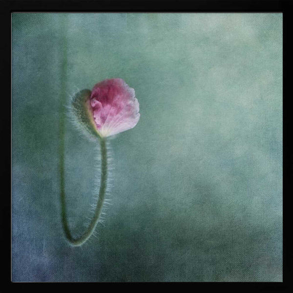 Tablou înramat „Trust” de Priska Wettstein