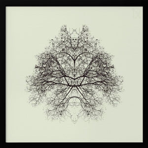Tablou înramat „Rorschach Test” de Nadav Jonas