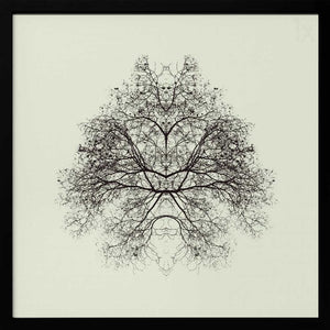 Tablou înramat „Rorschach Test” de Nadav Jonas