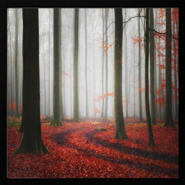 Tablou înramat „Autumnal Tracks” de Carsten Meyerdierks