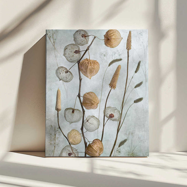 Tablou canvas „Lanterns*” de Mandy Disher