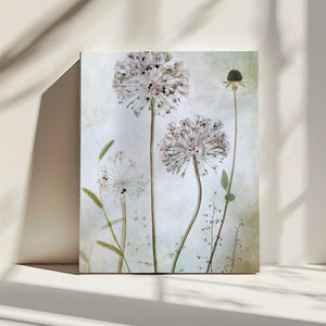 Tablou canvas „Allium” de Mandy Disher