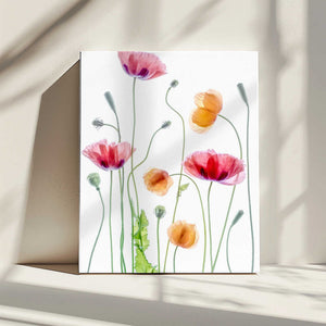 Tablou canvas „Poppies” de Mandy Disher