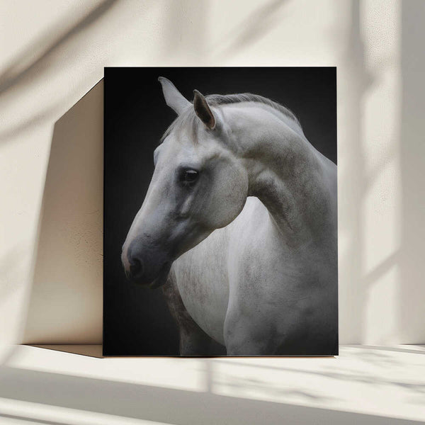 Tablou canvas „Maggie” de Avishai Avivi