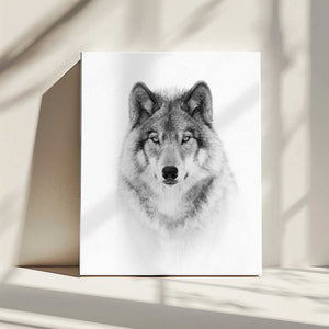 Tablou canvas „Portrait of a Timber Wolf” de Jim Cumming