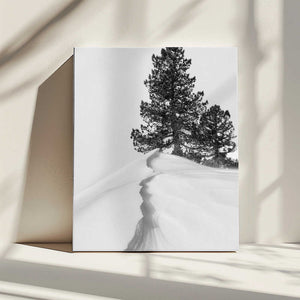 Tablou canvas „About the snow and forms” de Rodrigo Núñez Buj