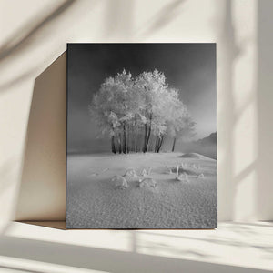 Tablou canvas „The first snow” de Krzysztof Mierzejewski