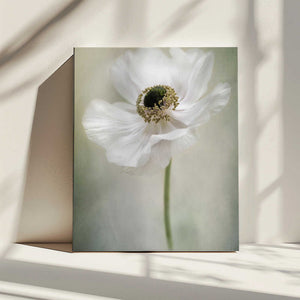 Tablou canvas „Single White” de Jacky Parker