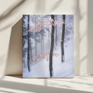 Tablou canvas „In the winter forest” de Ales Krivec