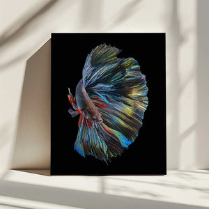 Tablou canvas „The  Betta Fish” de Andi Halil