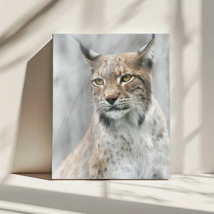 Tablou canvas „Lynx portrait in the fog” de Santiago Pascual Buye