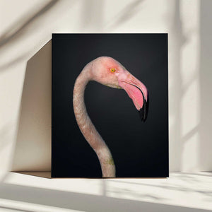 Tablou canvas „F L A M B O Y A N C E” de fegari