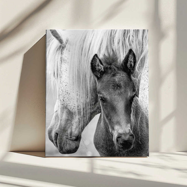 Tablou canvas „The Foal” de Jacky Parker