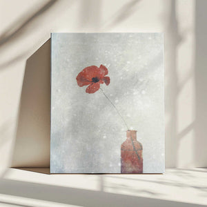 Tablou canvas „Winter Poppy” de Delphine Devos