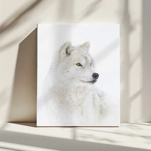 Tablou canvas „Portrait of an Arctic Wolf” de Jim Cumming