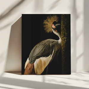 Tablou canvas „Grey Crowned Crane” de Jealousy
